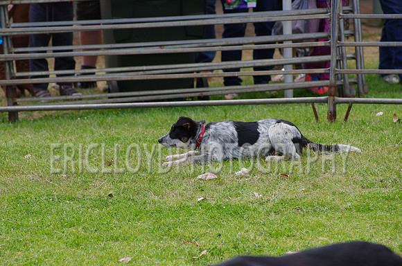 Jess-4088