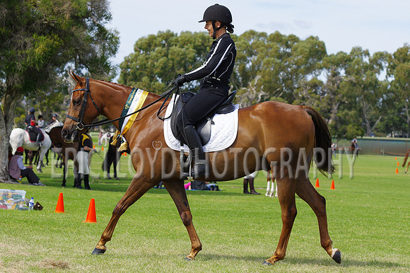 ARCA WH 2014-6627