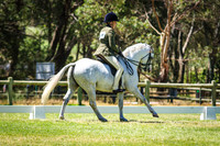 Class 76-78 Champion Ridden Pony Sect B Breeding