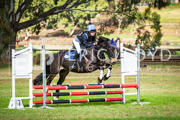 DSCF8921