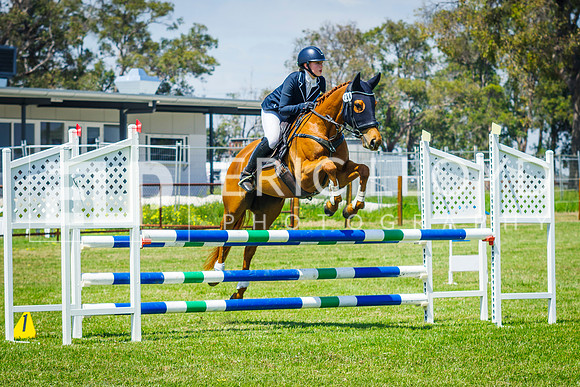 IMGP0109