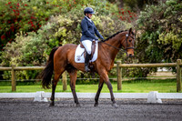 Syd Hill & Sons CCI 2 star - s