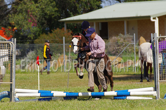 Bev Ag 2014-5171