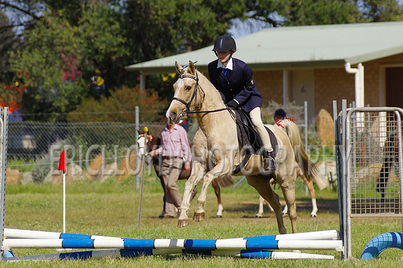 Bev Ag 2014-5154