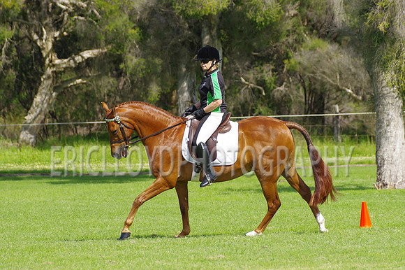 ARCA WH 2014-6559