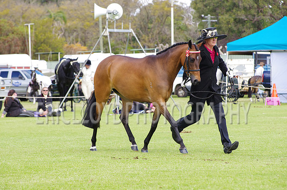 Jess-4498