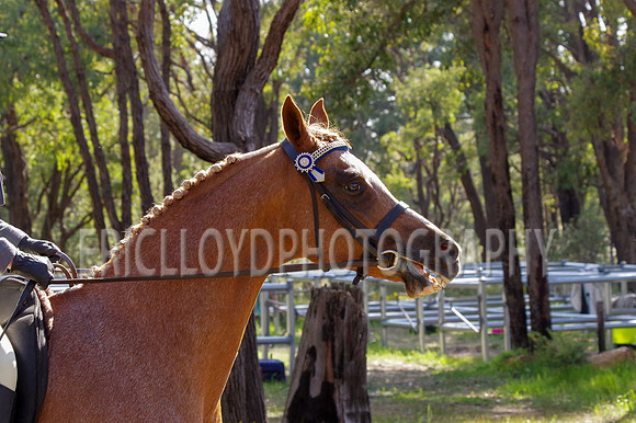 Wooroloo-5904