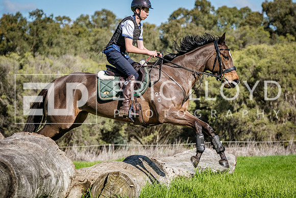 DSCF5167