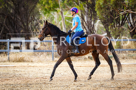 IMGP2208