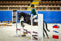 Secondary and Primary 60cm Championship
