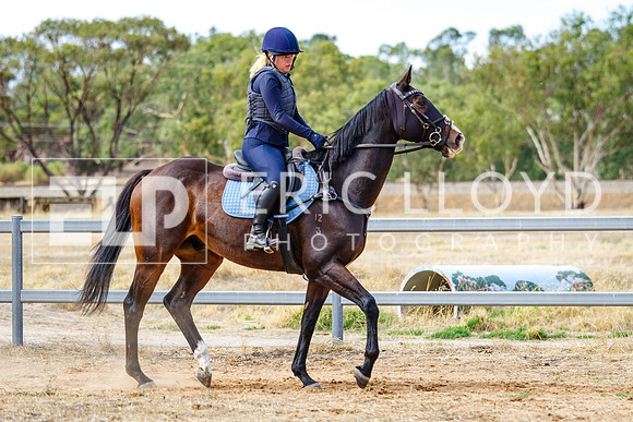 IMGP2170