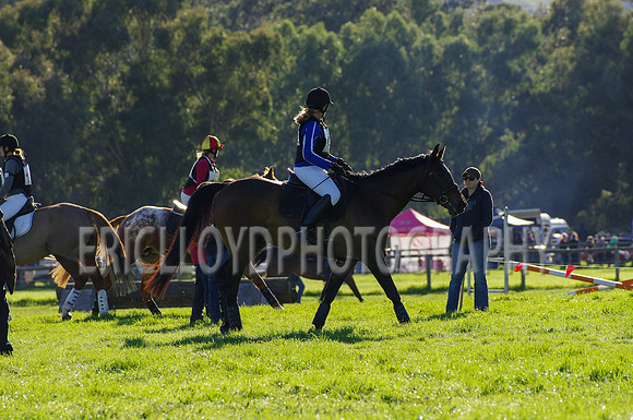 untitled-7339