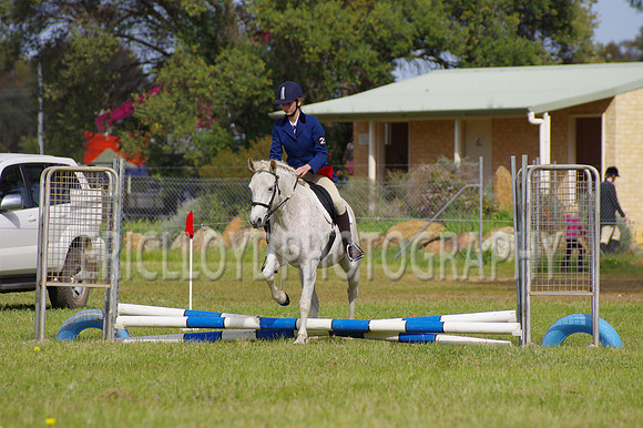 Bev Ag 2014-5119