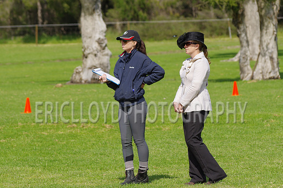 ARCA WH 2014-6611