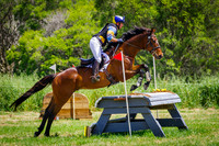 Syd Hill & Sons CCI2 Star-S