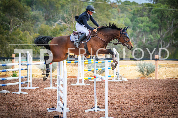 DSCF5534