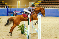 2b. EQUINEWORLD Rose Series 75cm Article 238.2.2-245.3 (AM7)