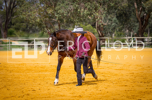 untitled-0948