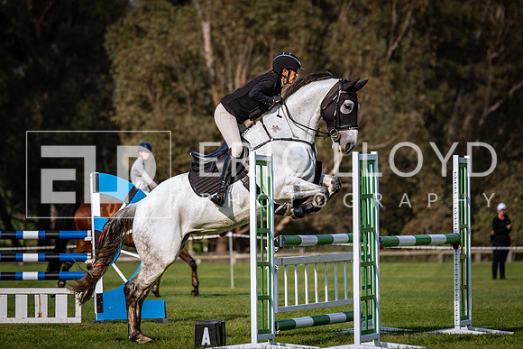 IMGP6391