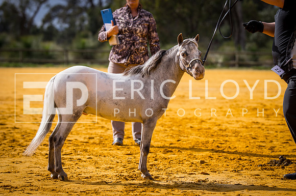 untitled-9735
