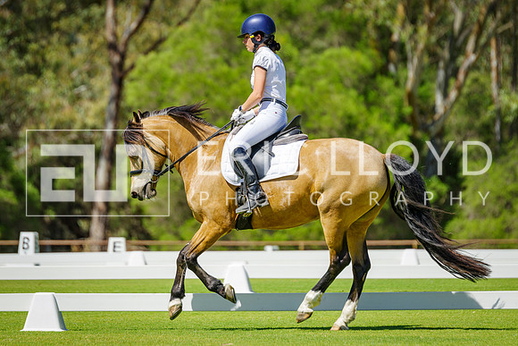 IMGP7080
