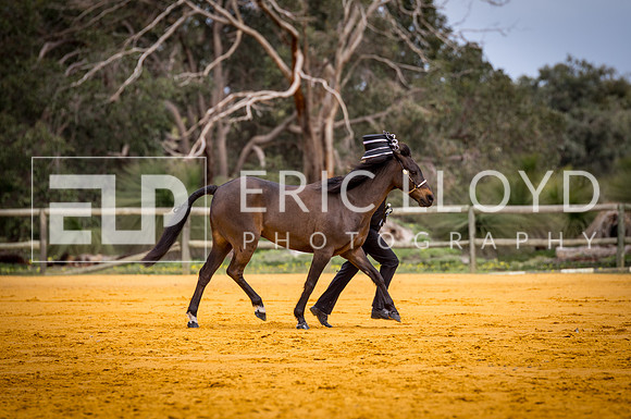 untitled-0644