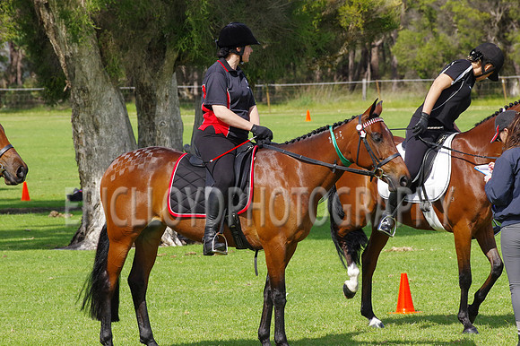 ARCA WH 2014-6599