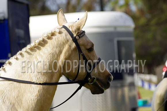 Bev Ag 2014-5093