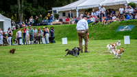 DSCF0224
