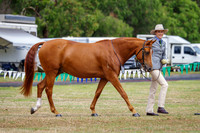IMGP7726