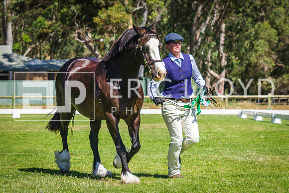 IMGP7979
