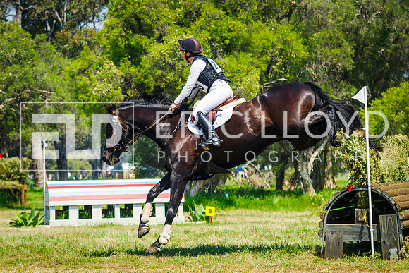 IMGP0643