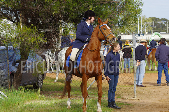Bev Ag 2014-5087