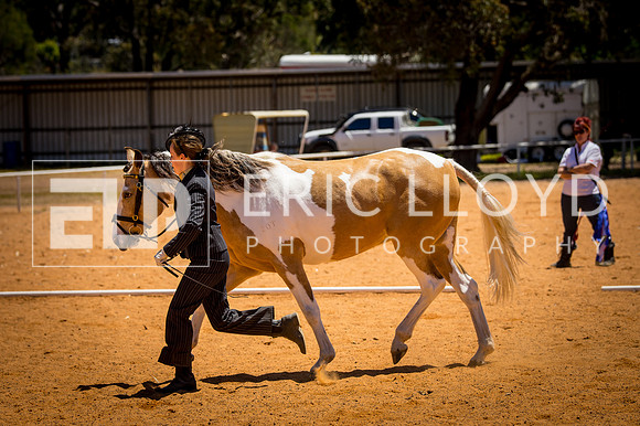 untitled-0251