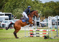 DSCF2491