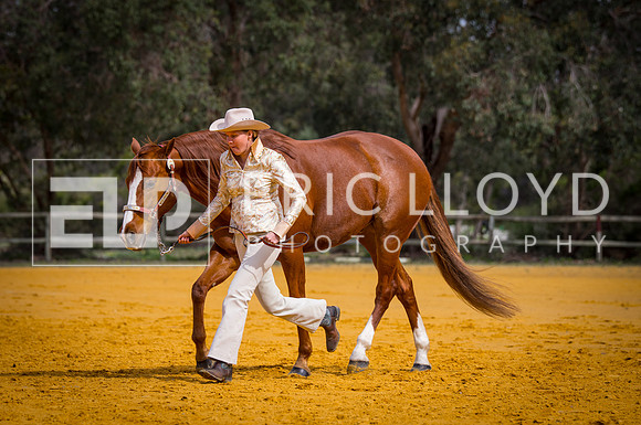 untitled-0485