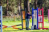 Jumping and Pole Work