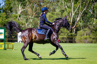 3- 75cm