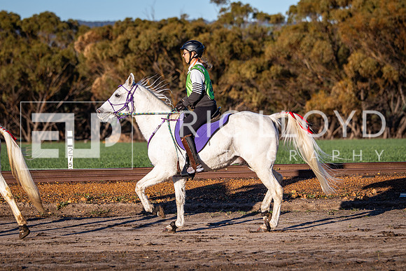 IMGP3988
