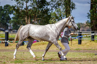 IMGP8169