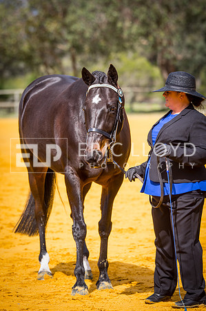 untitled-0976