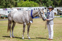 Class 4  3 Year old Futurity