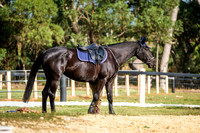 6  60-70cm
