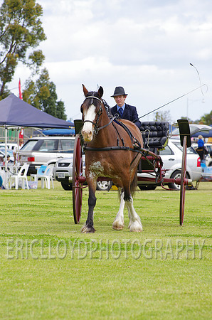 Jess-4129