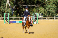 SJ12 and SJ15  45cm