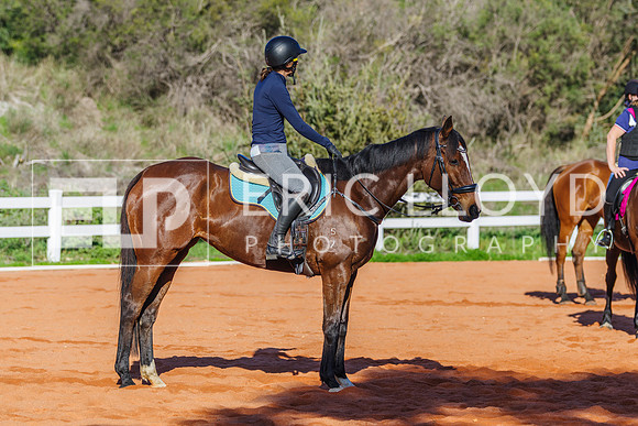 IMGP2423