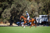 11.30am  Aqua Shades & Syd Hill