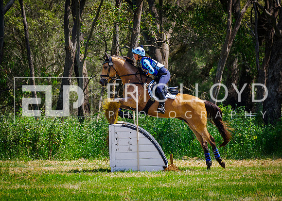 IMGP9097