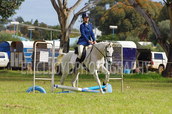 Bev Ag 2014-5123