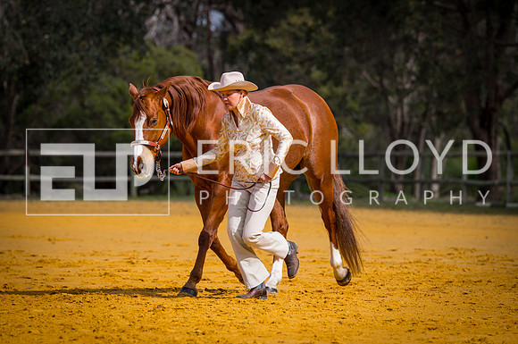 untitled-0481